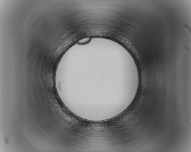 X0000103170489200809121904