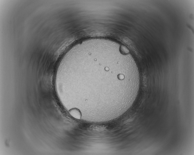 X0000103170491200809121904