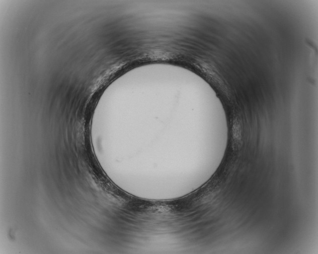 X0000103170492200809121904