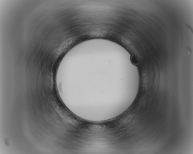 X0000103170494200809121904