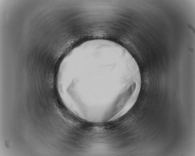 X0000103170496200809121904