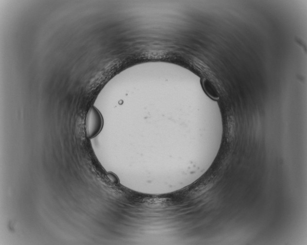 X0000103170497200809121904