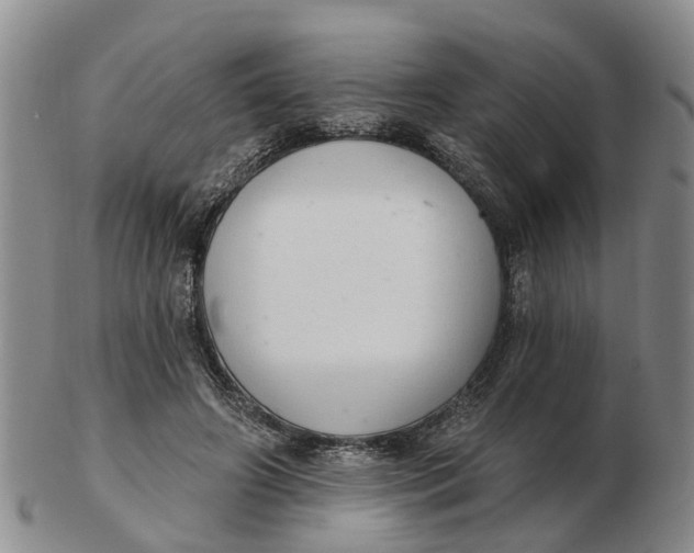 X0000103170498200809121904