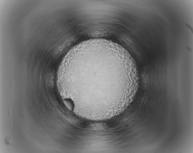 X0000103170499200809121904