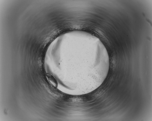 X0000103170500200809121904