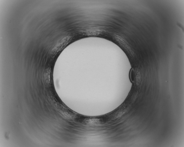 X0000103170501200809121904