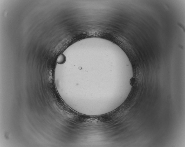 X0000103170502200809121904