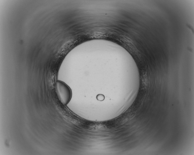 X0000103170503200809121904