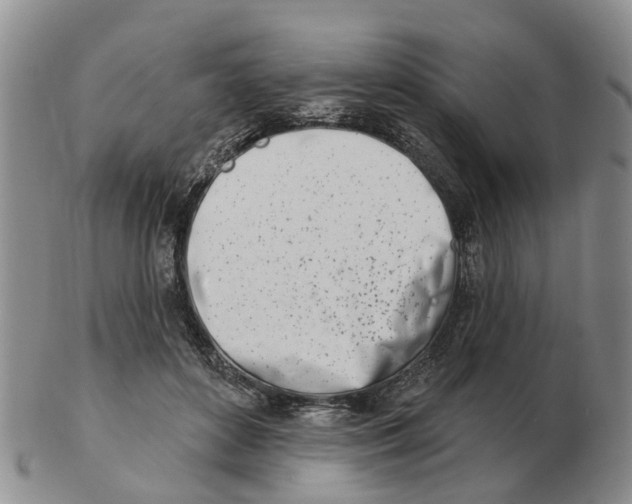 X0000103170504200809121904