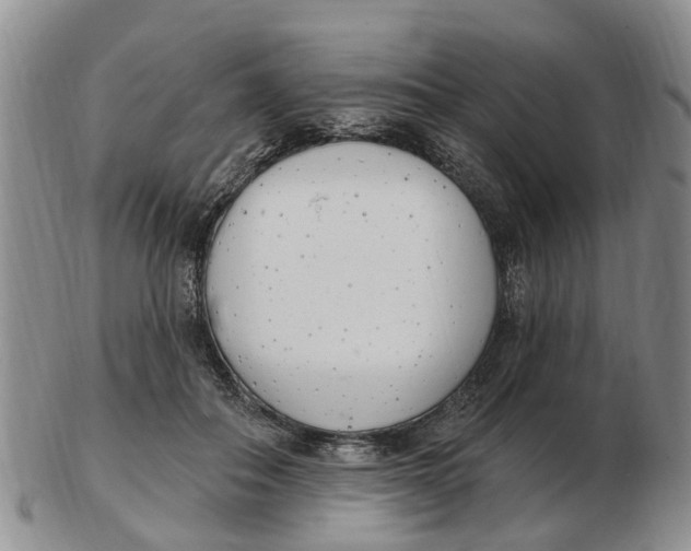 X0000103170506200809121904