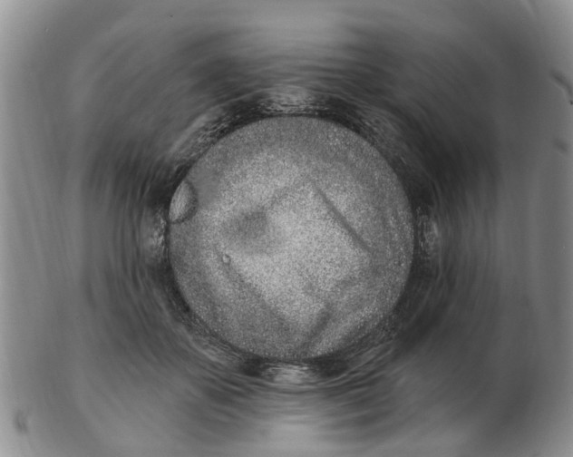 X0000103170507200809121904