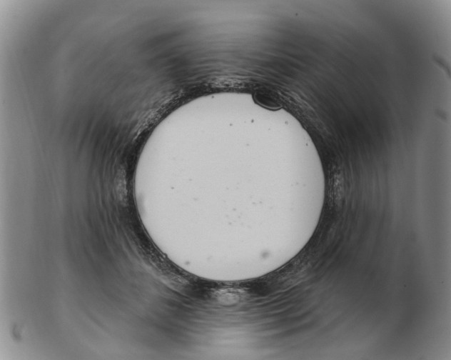 X0000103170508200809121904