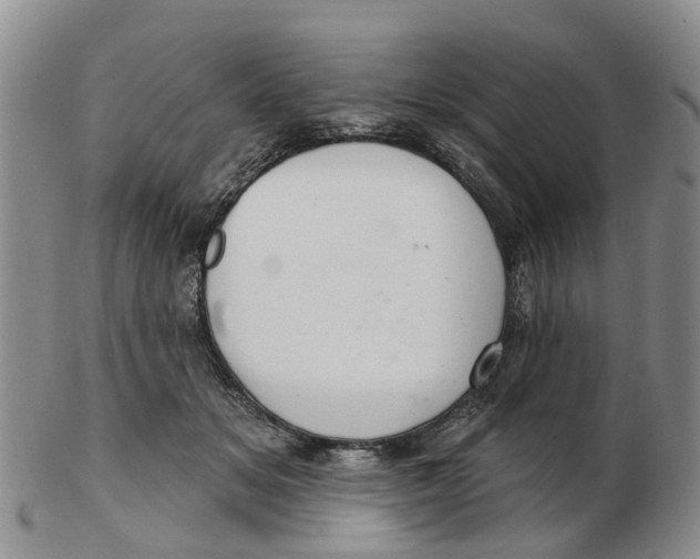 X0000103170509200809121903