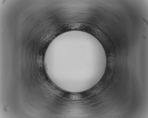 X0000103170510200809121903