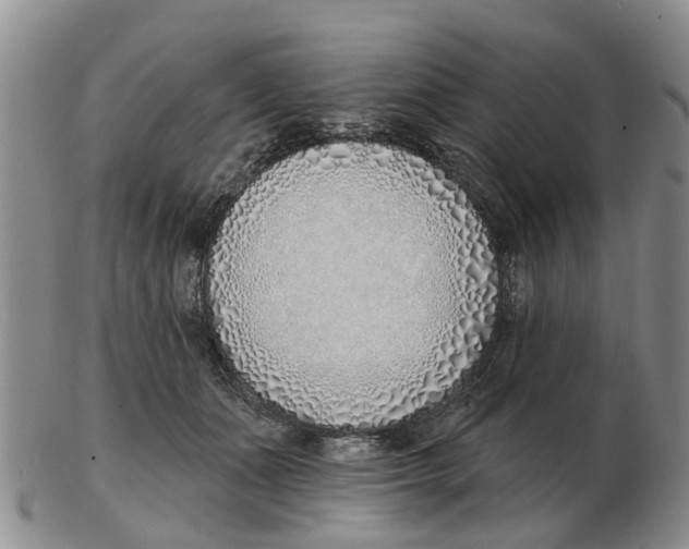 X0000103170511200809121903