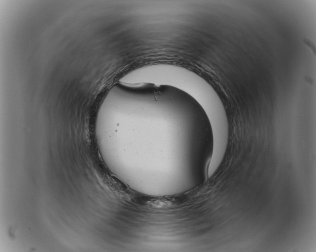 X0000103170512200809121903