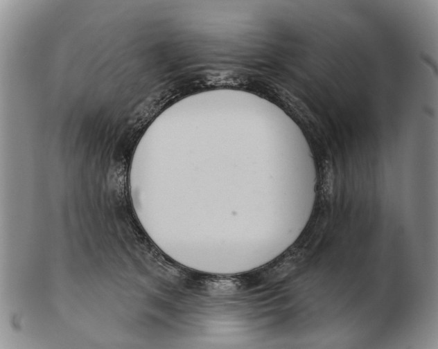 X0000103170513200809121903