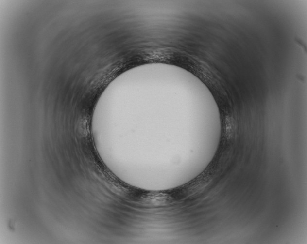 X0000103170514200809121903