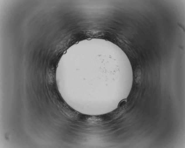 X0000103170515200809121903