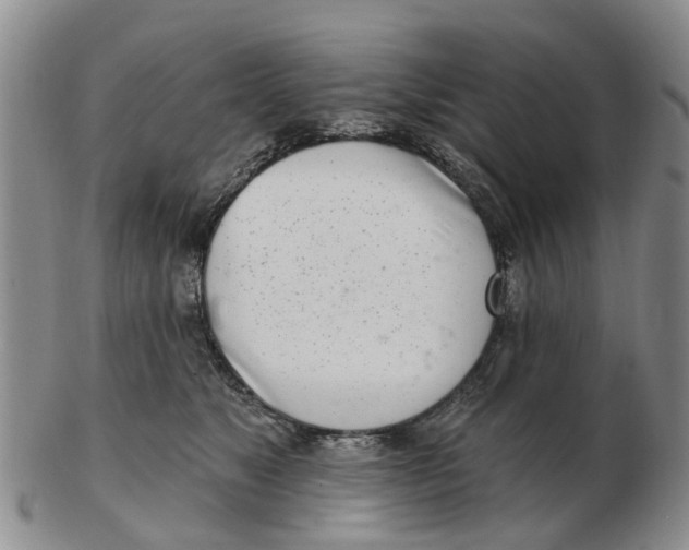 X0000103170517200809121903