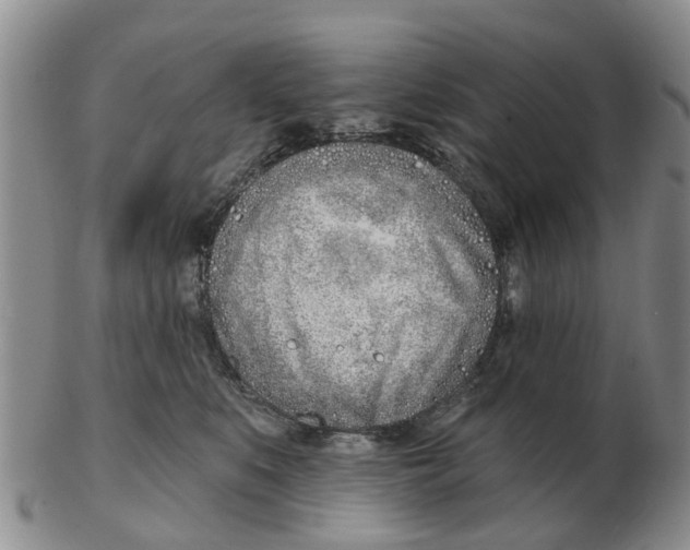 X0000103170519200809121903