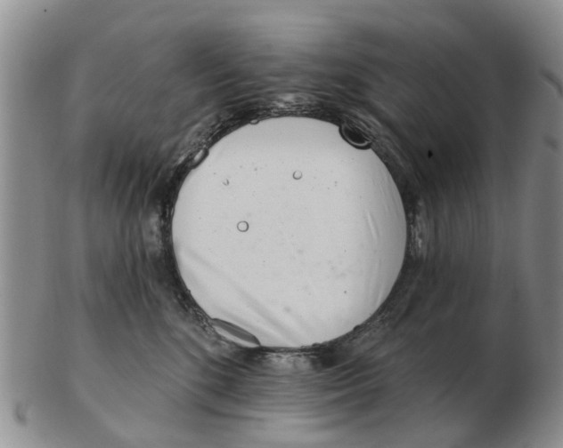 X0000103170520200809121903