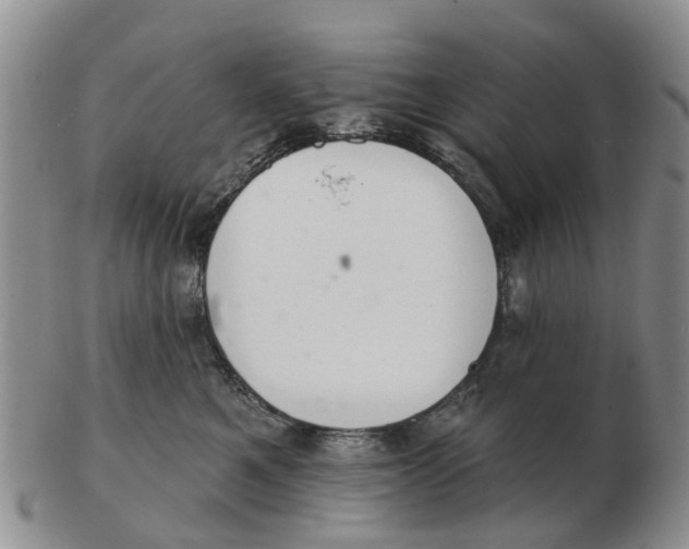 X0000103170521200809121903