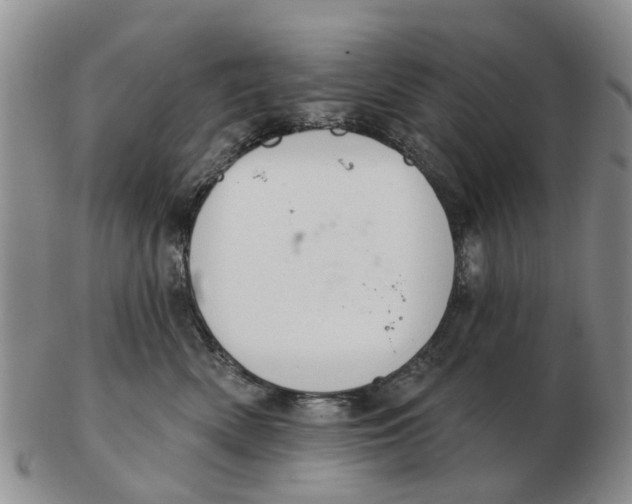 X0000103170522200809121903