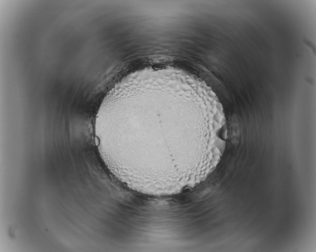 X0000103170523200809121903