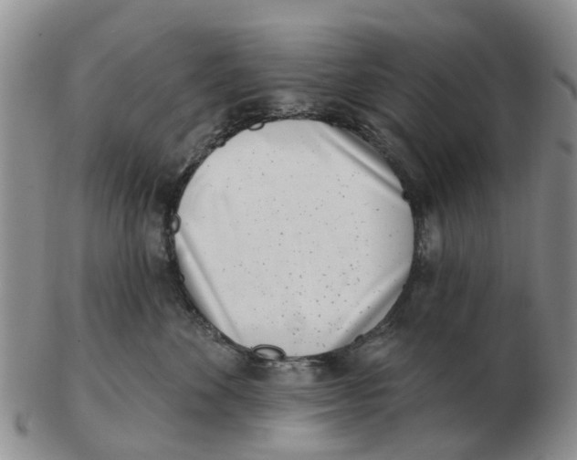 X0000103170524200809121903