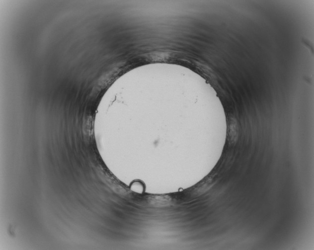 X0000103170525200809121903