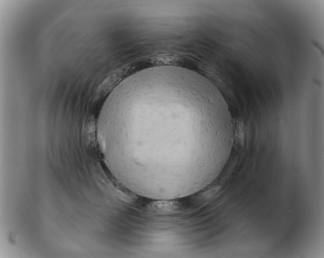 X0000103170526200809121903