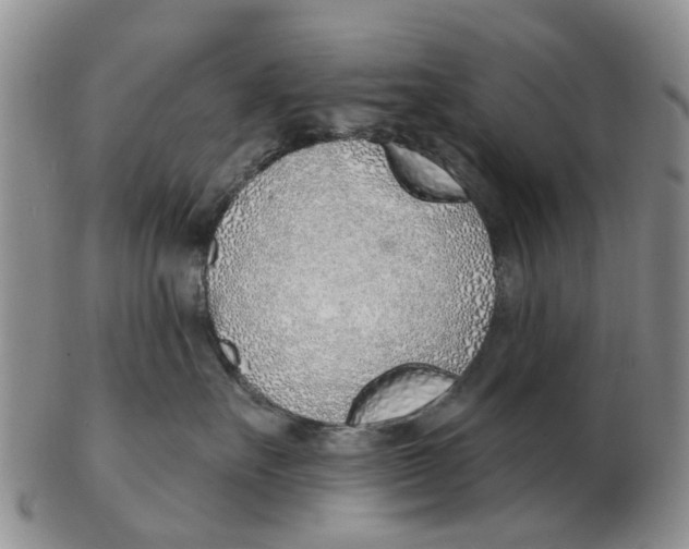 X0000103170527200809121903