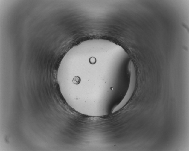 X0000103170528200809121903