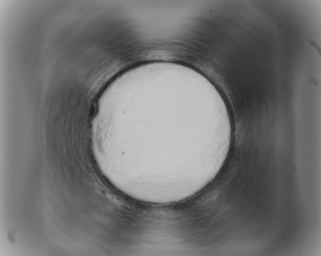 X0000103170529200809121903