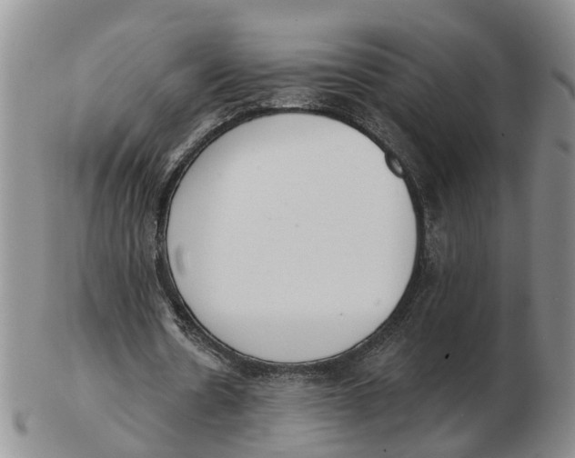 X0000103170530200809121903