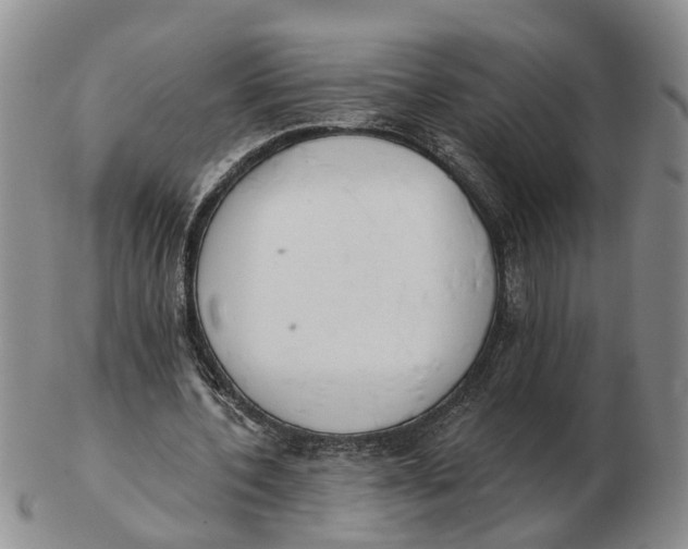 X0000103170532200809121903