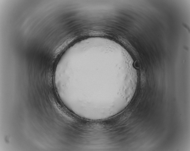 X0000103170533200809121903