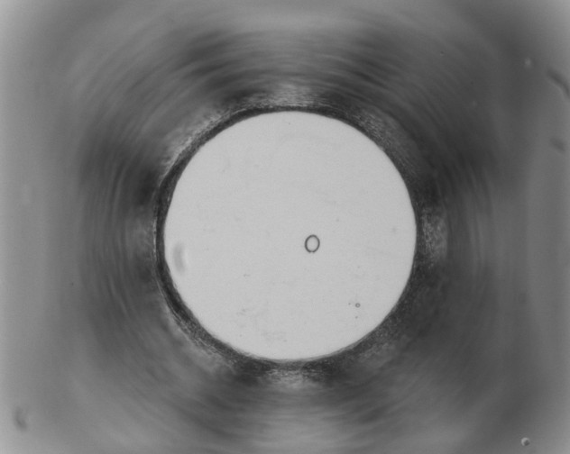 X0000103170534200809121903