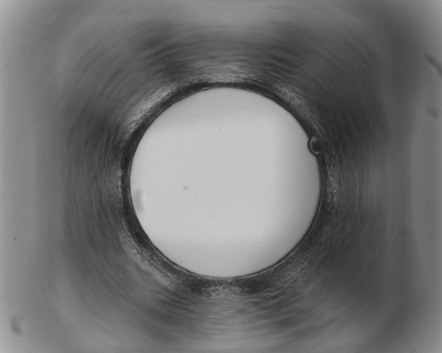 X0000103170535200809121903