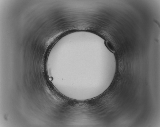 X0000103170536200809121903