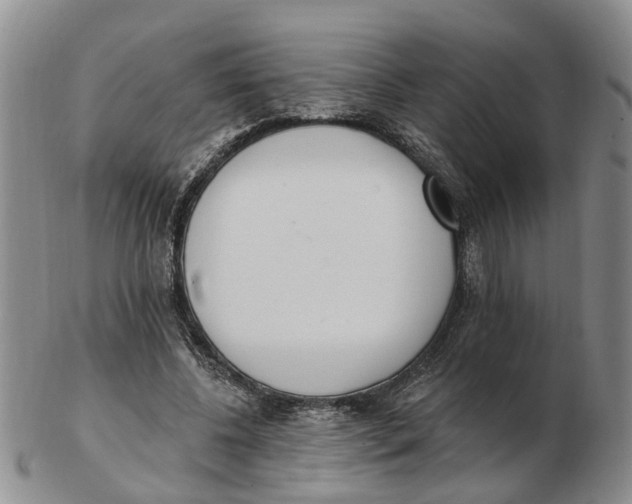 X0000103170540200809121903