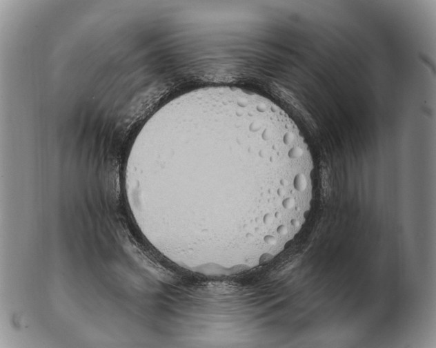 X0000103170541200809121903