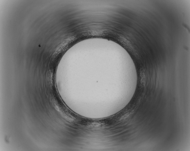 X0000103170542200809121903