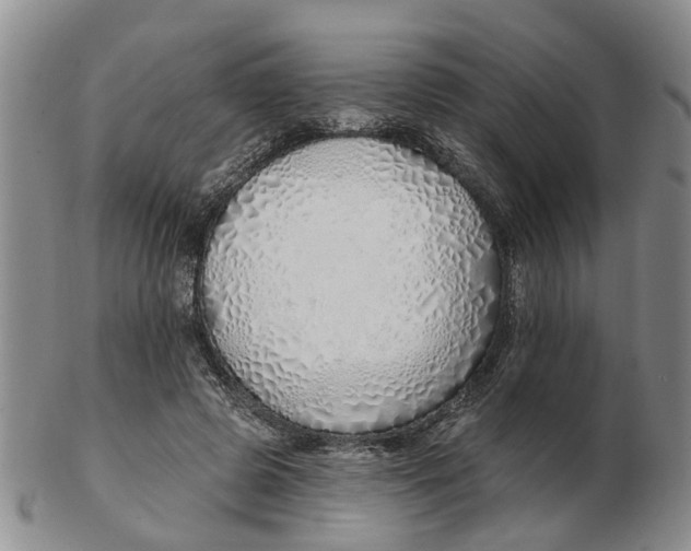 X0000103170545200809121903