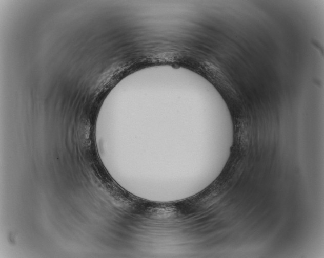 X0000103170548200809121903