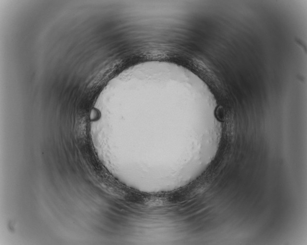 X0000103170549200809121903