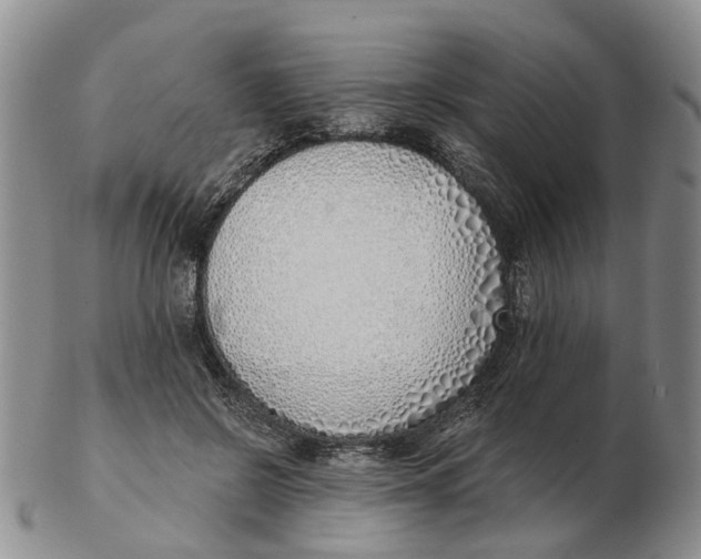 X0000103170550200809121903