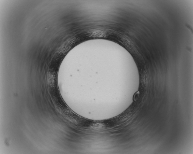 X0000103170551200809121903