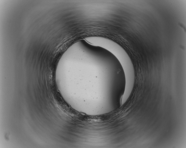 X0000103170552200809121903